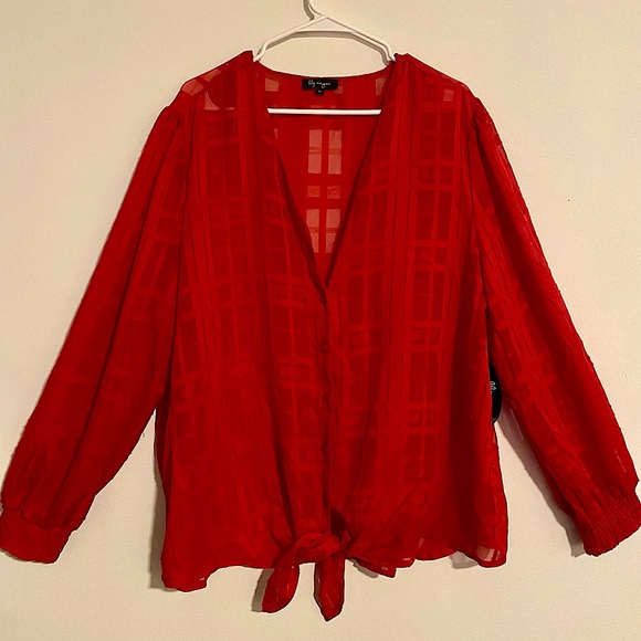 2XL Red Chiffon Blouse - Picture 1 of 6